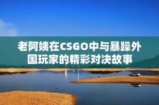 老阿姨在CSGO中与暴躁外国玩家的精彩对决故事