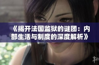 《揭开法国监狱的谜团：内部生活与制度的深度解析》