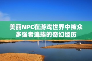 美丽NPC在游戏世界中被众多强者追捧的奇幻经历