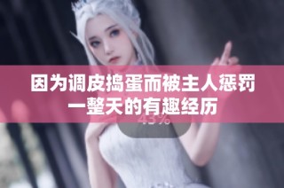 因为调皮捣蛋而被主人惩罚一整天的有趣经历