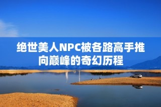 绝世美人NPC被各路高手推向巅峰的奇幻历程