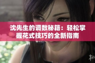 沈先生的调数秘籍：轻松掌握花式技巧的全新指南