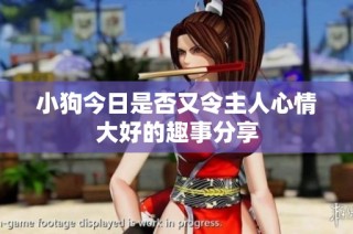 小狗今日是否又令主人心情大好的趣事分享
