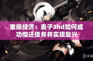 重振经济：麦子3hd如何成功偿还债务并实现复兴
