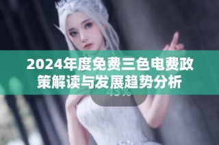 2024年度免费三色电费政策解读与发展趋势分析