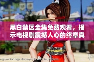 黑白禁区全集免费观看，揭示电视剧震撼人心的终章真相