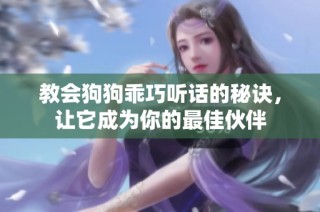 教会狗狗乖巧听话的秘诀，让它成为你的最佳伙伴