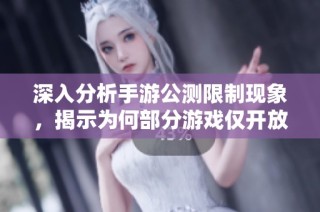 深入分析手游公测限制现象，揭示为何部分游戏仅开放公测体验