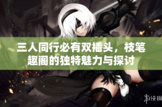 三人同行必有双插头，枝笔趣阁的独特魅力与探讨