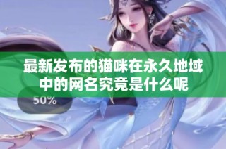 最新发布的猫咪在永久地域中的网名究竟是什么呢