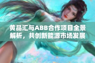 黄品汇与ABB合作项目全景解析，共创新能源市场发展机遇