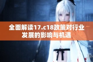 全面解读17.c18政策对行业发展的影响与机遇