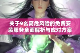 关于9幺高危风险的免费安装服务全面解析与应对方案