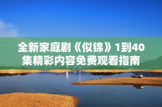全新家庭剧《似锦》1到40集精彩内容免费观看指南