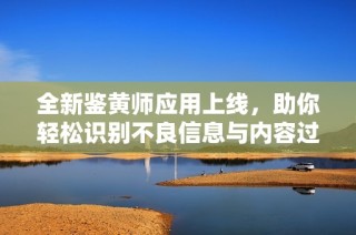 全新鉴黄师应用上线，助你轻松识别不良信息与内容过滤