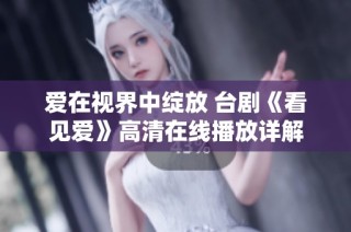 爱在视界中绽放 台剧《看见爱》高清在线播放详解