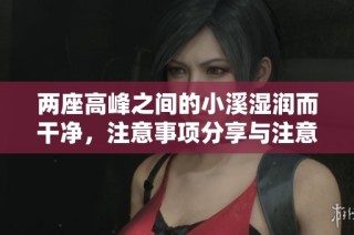两座高峰之间的小溪湿润而干净，注意事项分享与注意事项总结