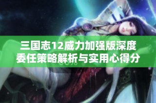 三国志12威力加强版深度委任策略解析与实用心得分享