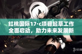 红桃国际17·c项目起草工作全面启动，助力未来发展新机遇