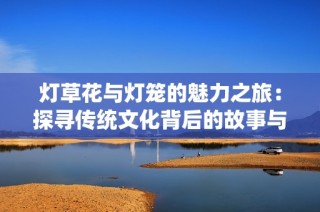 灯草花与灯笼的魅力之旅：探寻传统文化背后的故事与美丽