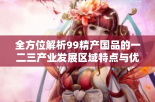 全方位解析99精产国品的一二三产业发展区域特点与优势