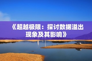 《超越极限：探讨数据溢出现象及其影响》