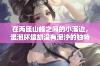 在两座山峰之间的小溪边，湿润环境却没有泥泞的独特风光