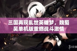 三国再现乱世英雄梦，魏蜀吴单机版重燃战斗激情