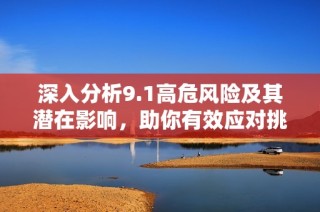 深入分析9.1高危风险及其潜在影响，助你有效应对挑战