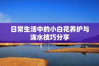 日常生活中的小白花养护与浇水技巧分享