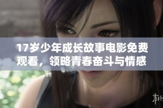17岁少年成长故事电影免费观看，领略青春奋斗与情感历程的精彩瞬间