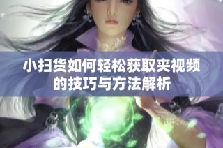 小扫货如何轻松获取夹视频的技巧与方法解析