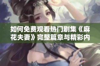 如何免费观看热门剧集《麻花夫妻》完整篇章与精彩内容