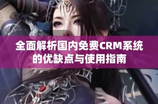 全面解析国内免费CRM系统的优缺点与使用指南