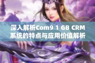深入解析Com9 1 GB CRM系统的特点与应用价值解析