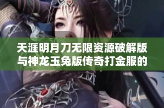 天涯明月刀无限资源破解版与神龙玉兔版传奇打金服的深度比较与分析