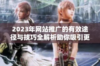 2023年网站推广的有效途径与技巧全解析助你吸引更多流量