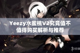 Yeezy水蜜桃V2究竟值不值得购买解析与推荐