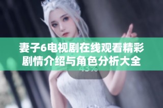 妻子6电视剧在线观看精彩剧情介绍与角色分析大全