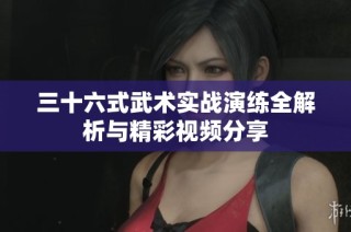 三十六式武术实战演练全解析与精彩视频分享