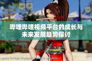 哔哩哔哩视频平台的成长与未来发展趋势探讨