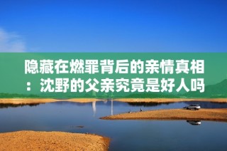 隐藏在燃罪背后的亲情真相：沈野的父亲究竟是好人吗