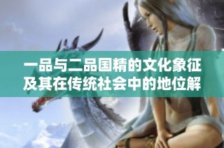 一品与二品国精的文化象征及其在传统社会中的地位解读
