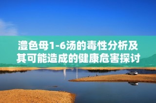 澧色母1-6汤的毒性分析及其可能造成的健康危害探讨