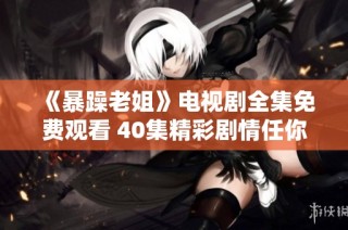 《暴躁老姐》电视剧全集免费观看 40集精彩剧情任你畅享