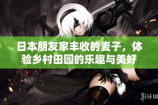 日本朋友家丰收的麦子，体验乡村田园的乐趣与美好