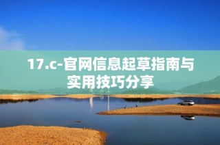 17.c-官网信息起草指南与实用技巧分享