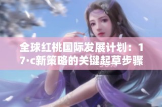 全球红桃国际发展计划：17·c新策略的关键起草步骤与展望