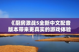 《厨房激战5全新中文配音版本带来更真实的游戏体验》