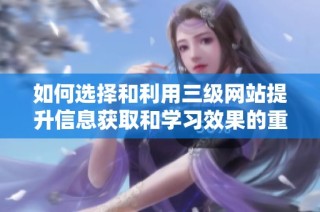 如何选择和利用三级网站提升信息获取和学习效果的重要策略